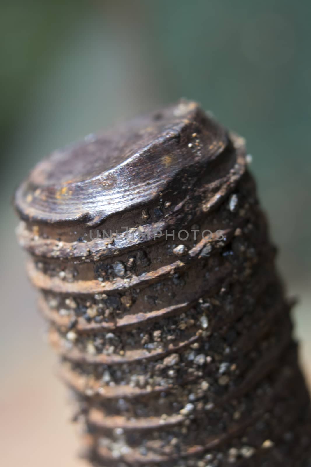 Close up the big rusty screw nut and bolt