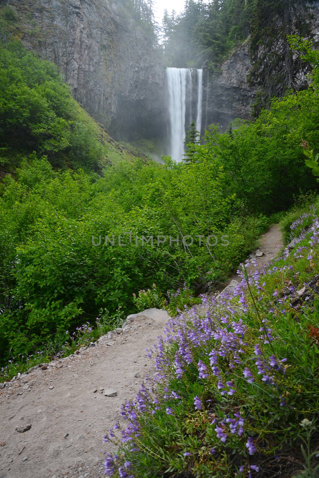 Oregon Tamanawas waterfall by porbital