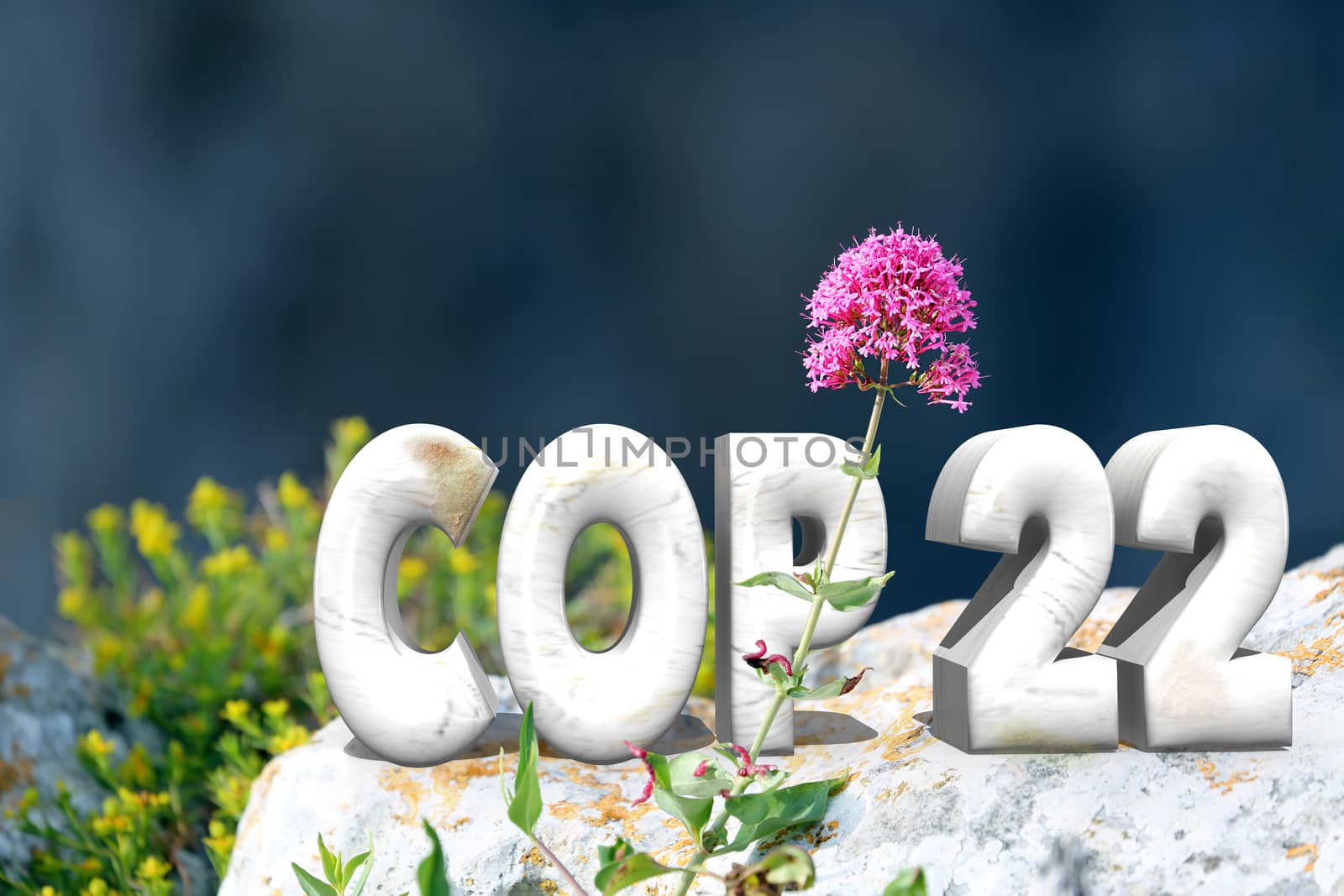 COP 22 in Marrakesh, Morocco. 3D Text in Nature