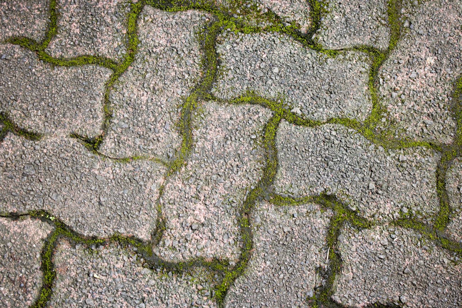 Grass Stone Floor texture pavement design with moss