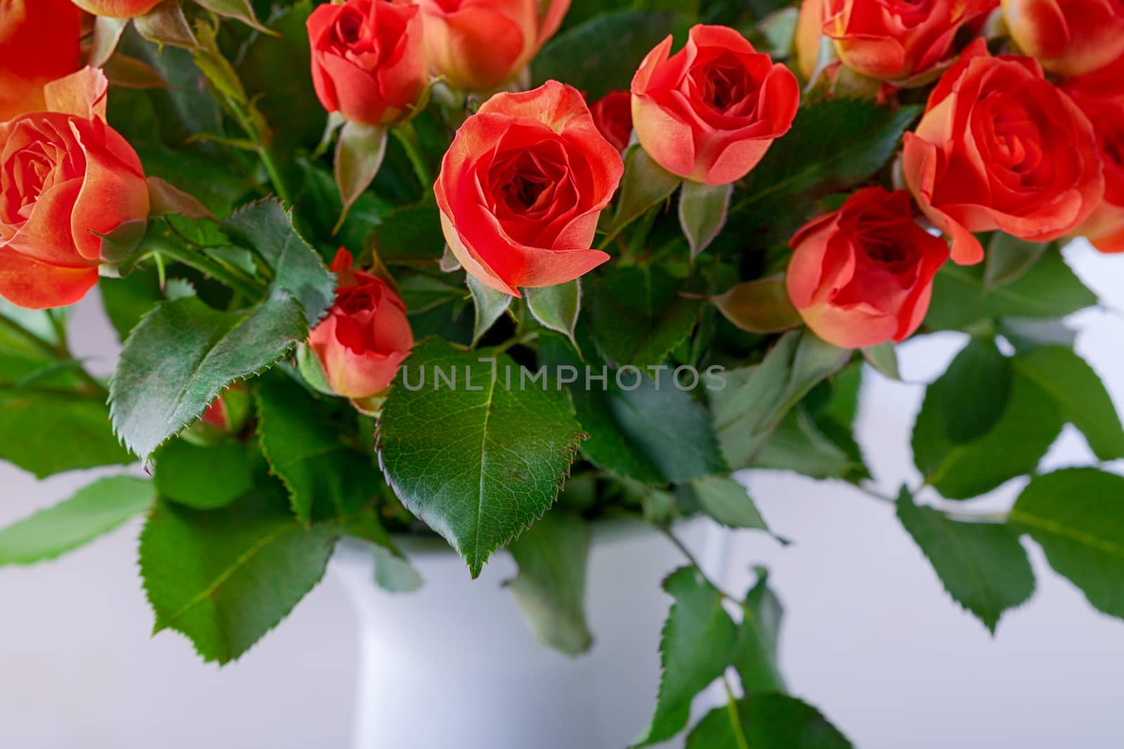 Big Bouquet of beautiful Red Roses on the table