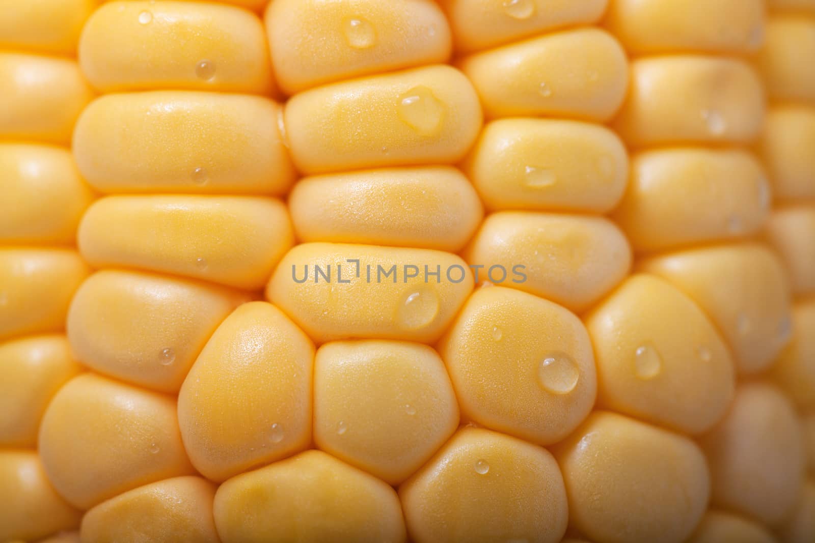 Pattern of fresh healthy yellow sweet corn