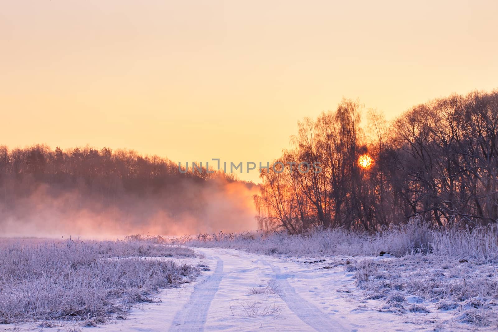 Winter misty colorful sunrise. Rural foggy and frosty scene. by weise_maxim