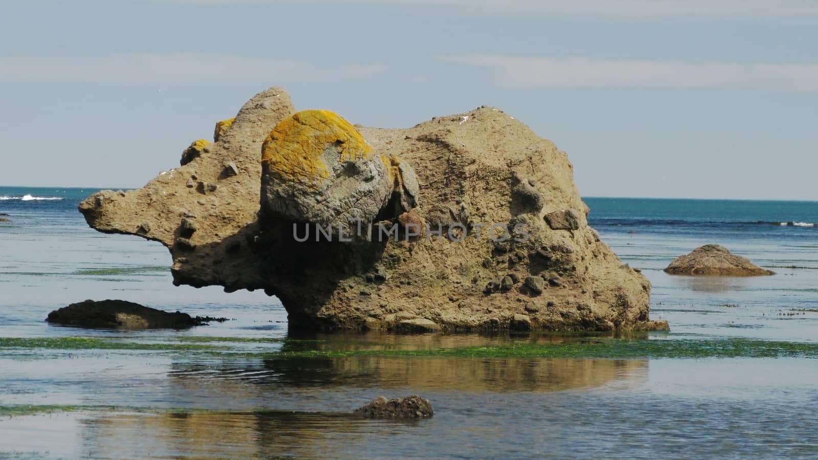 Stone mammoth, Tikhaya bay of Sakhalin island, Russia