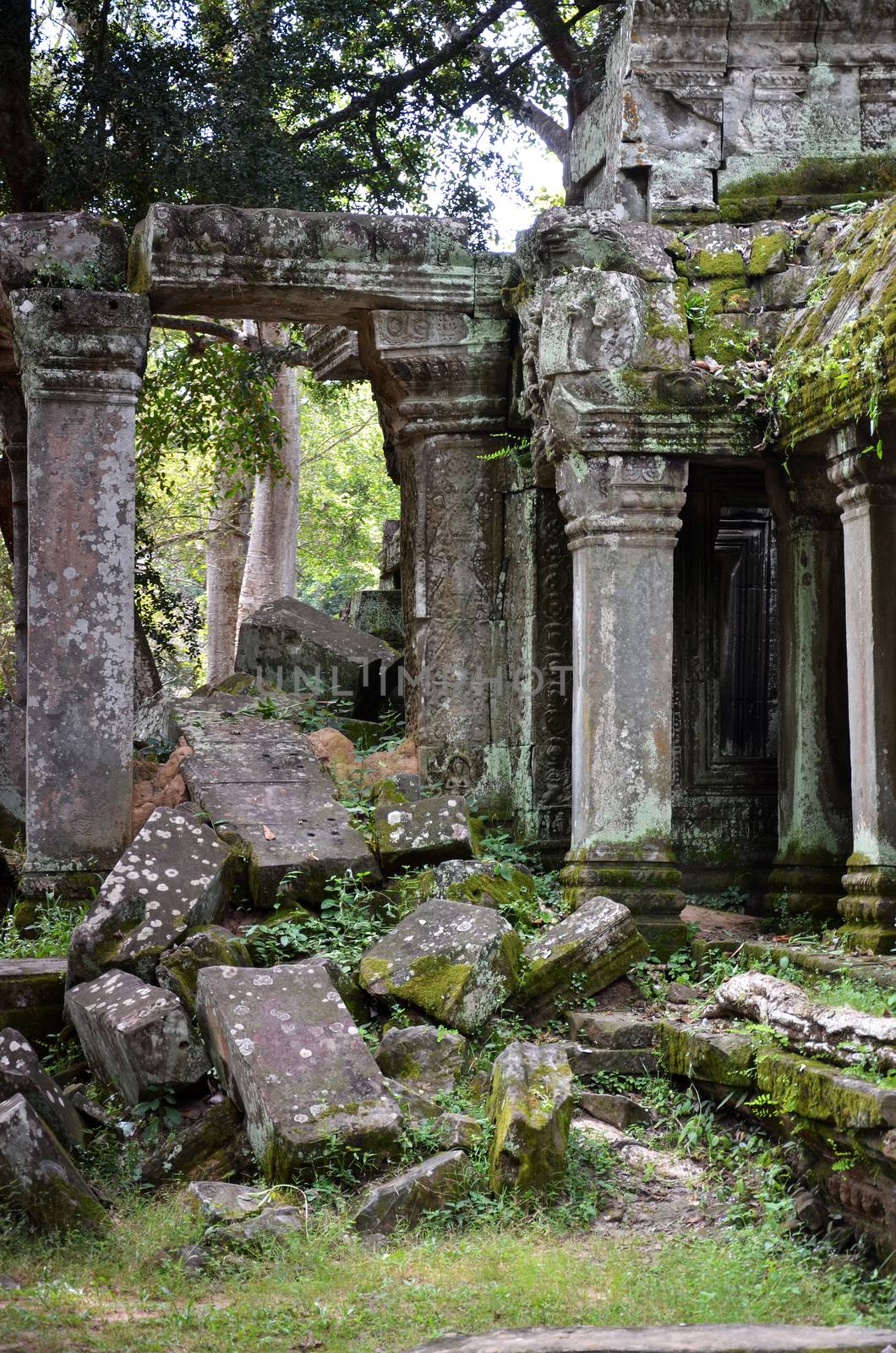 Classical picture of Ta Prohm Temple, Angkor, Cambodia