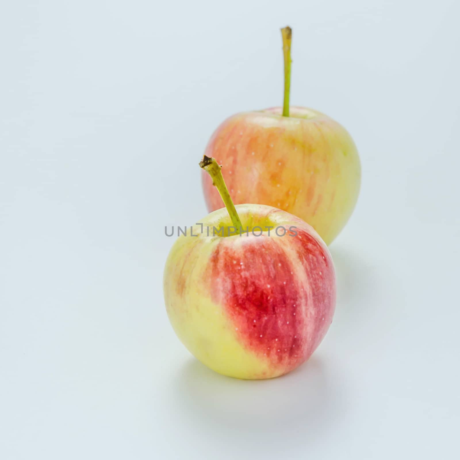 Red and yellow apple  , organic fresh fruit.