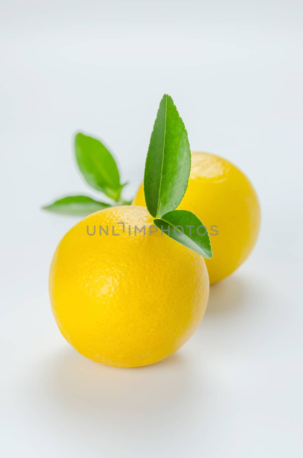 ripe orange with leaves on white background