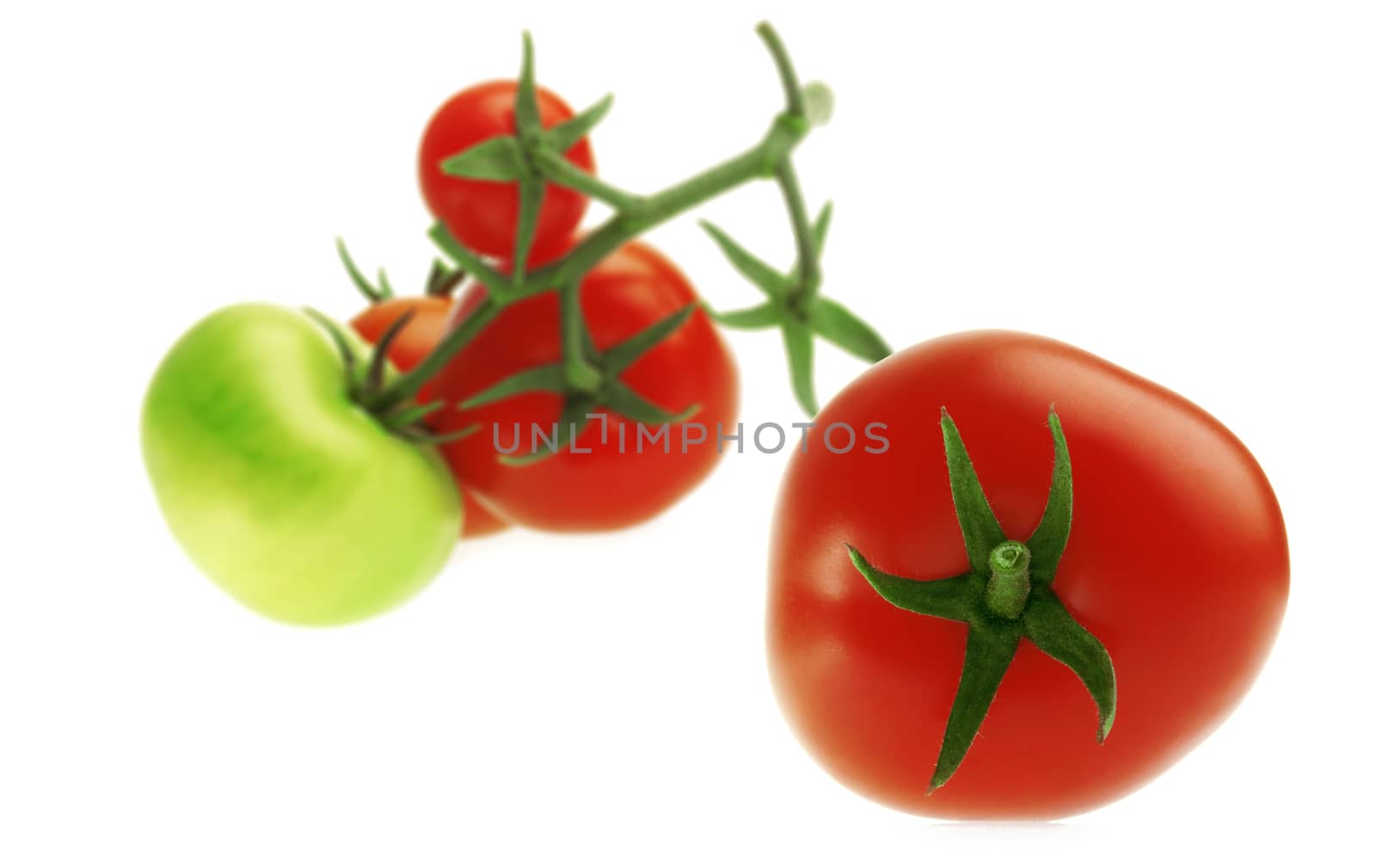 Bunch of fresh red and green Tomatoes on white background.