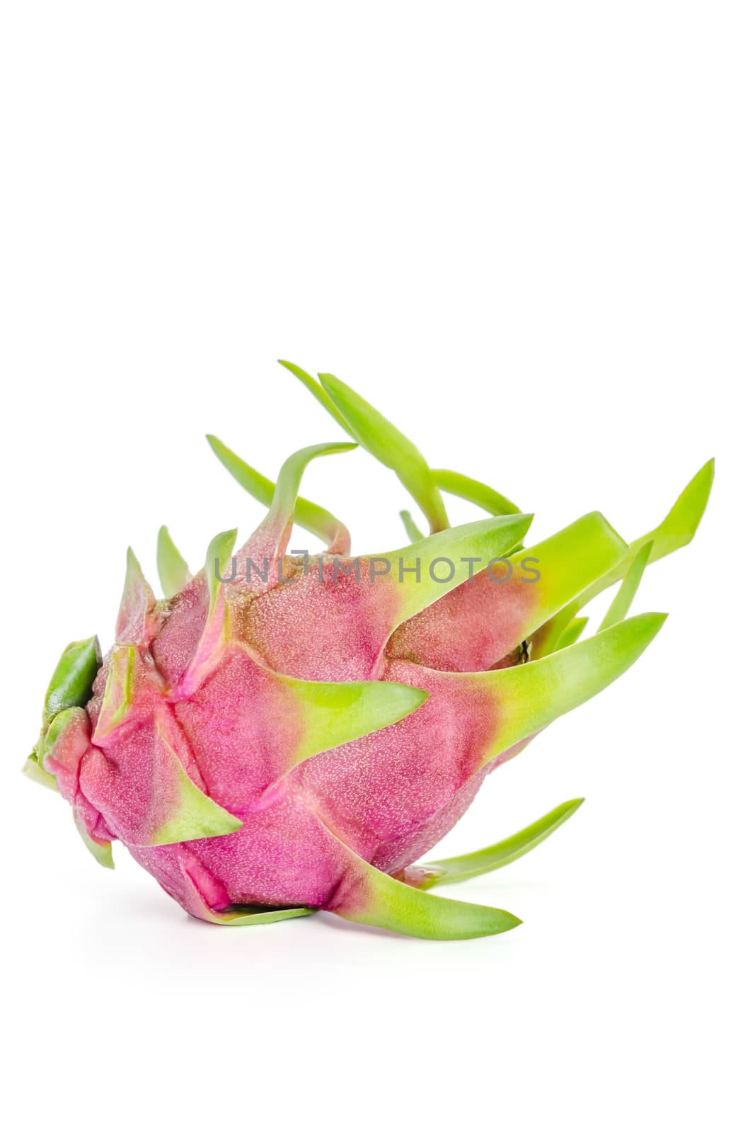 Fresh pink pitaya or dragon fruit  on white background