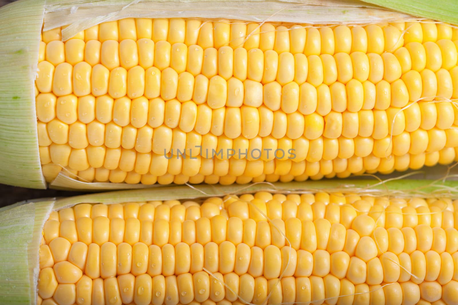 Pattern of Fresh yellow sweet corn on the table