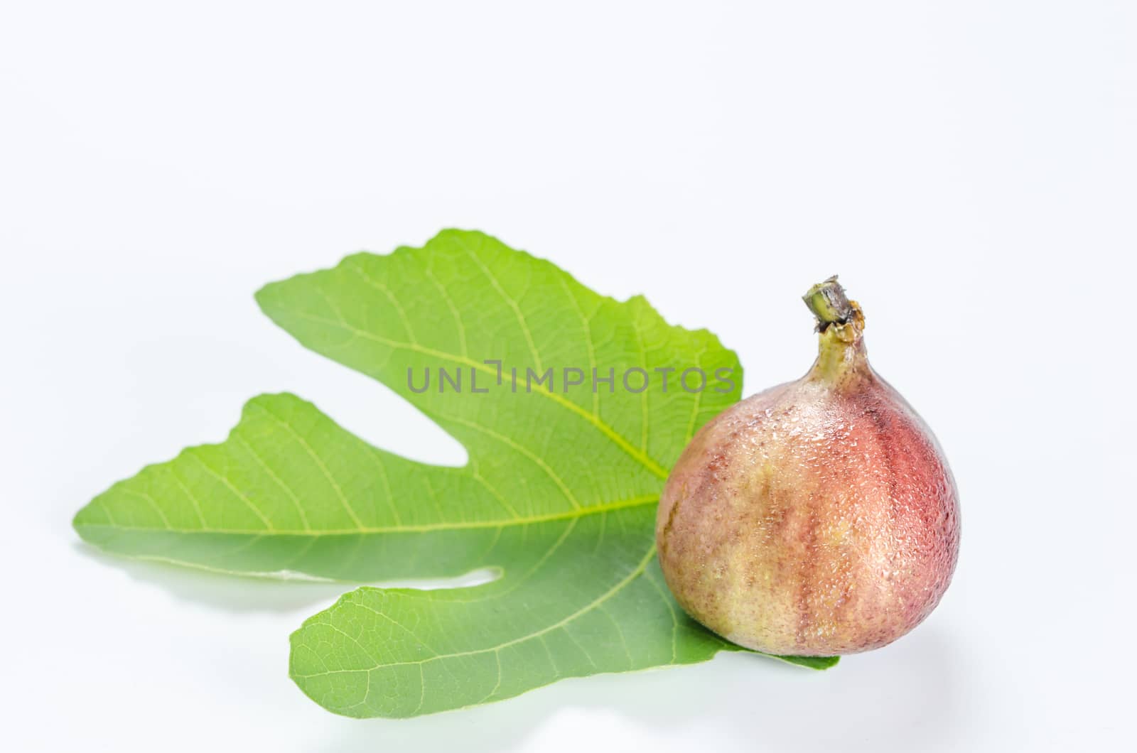 Ripe sweet fig , fresh fruit on white background