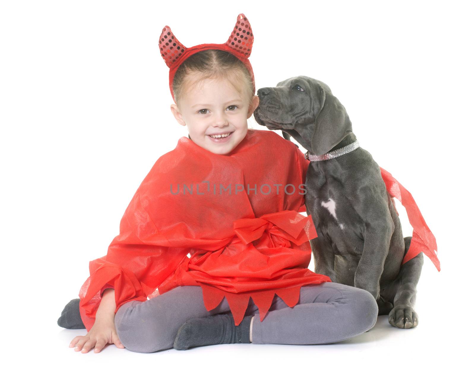 puppy great dane and child in front of white background