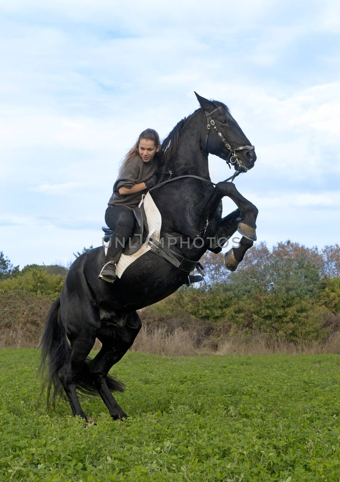 riding girl and black stallion in the nature