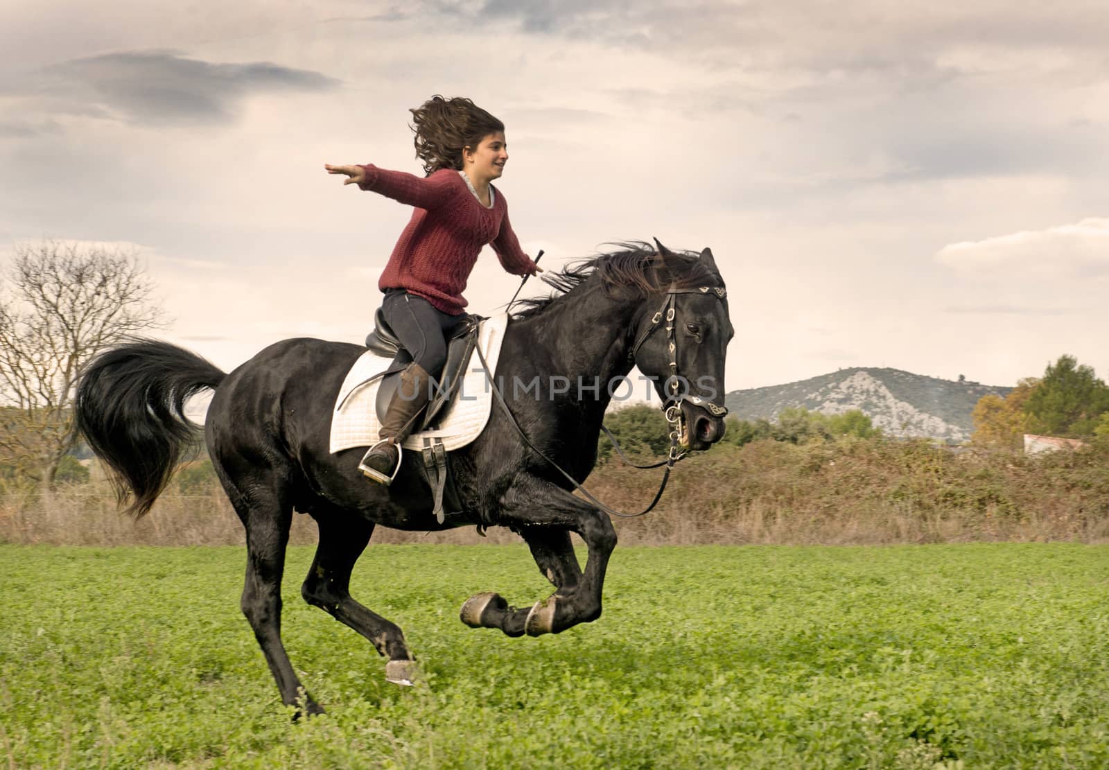 riding girl and black stallion by cynoclub