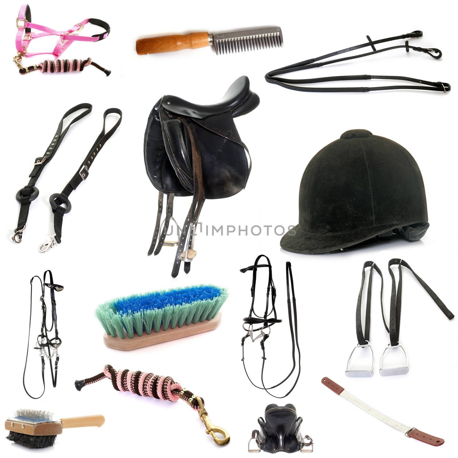equipments of horse riding by cynoclub