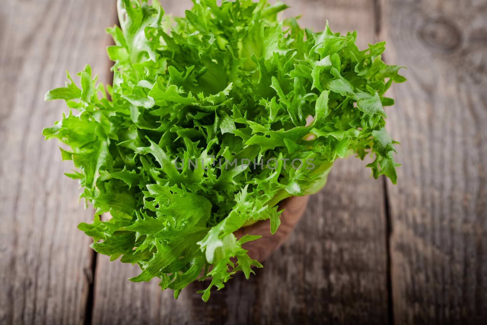 Fresh green lettuce on a wooden table.