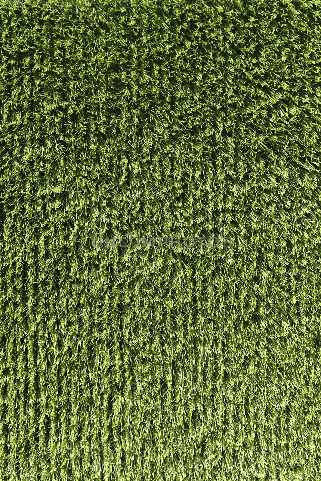 Artificial green Grass background