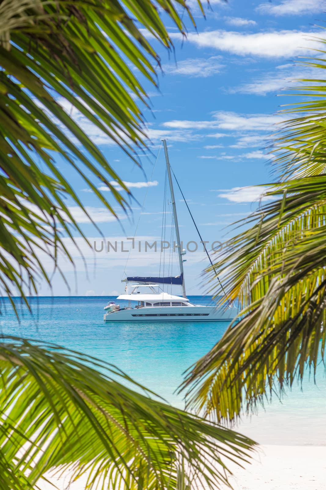 Catamaran sailing boat seen trough palm tree leaves on picture perfect Anse Lazio beach on Praslin island, Seychelles.
