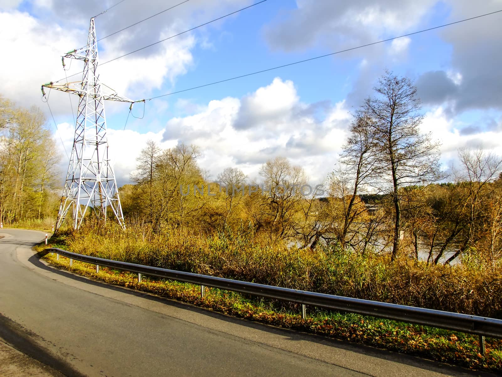 Road going through the Forest in the Capital City of Lithuania