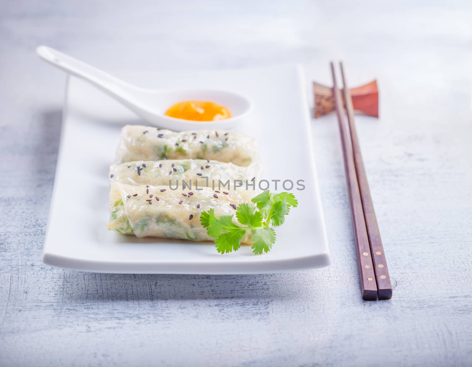 Rice Paper Rolls  by supercat67