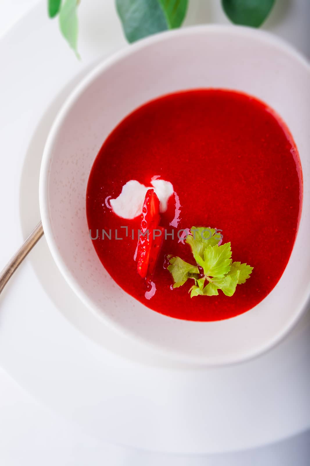 Strawberry soup with mint in a white plate by supercat67