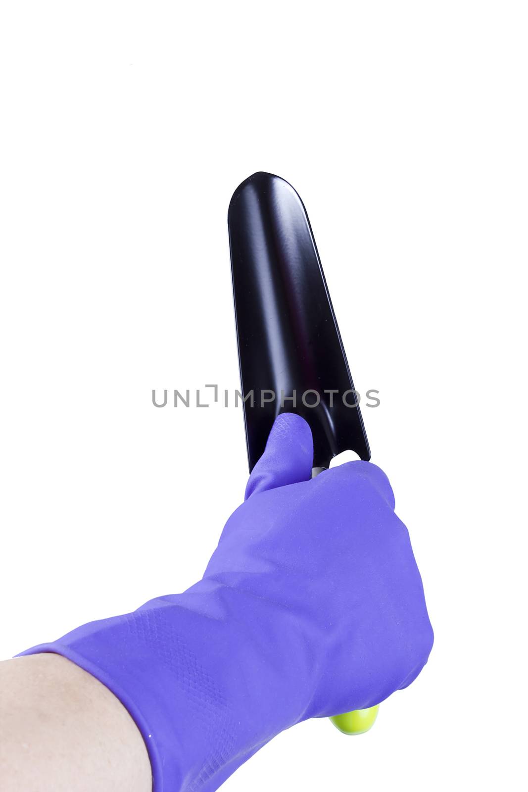 Hand in glove with garden tool on white background