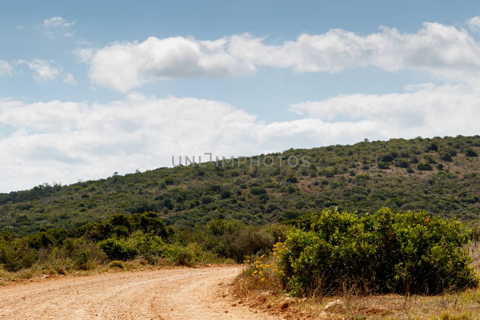 Clouds in the Skies with a green hill and road that leads to ...