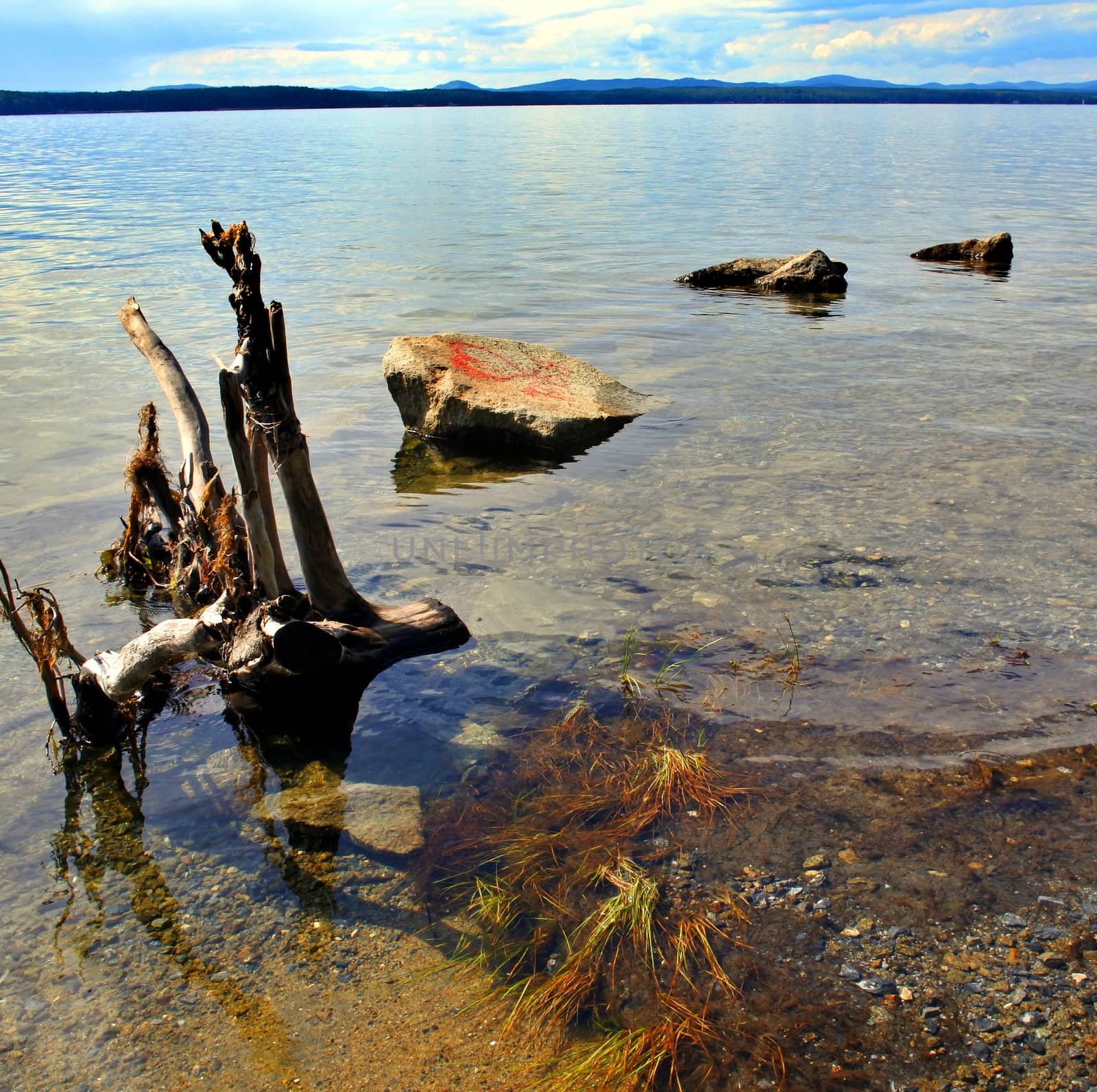 some rocks and driftwood on the shore of a lake in the southern Urals