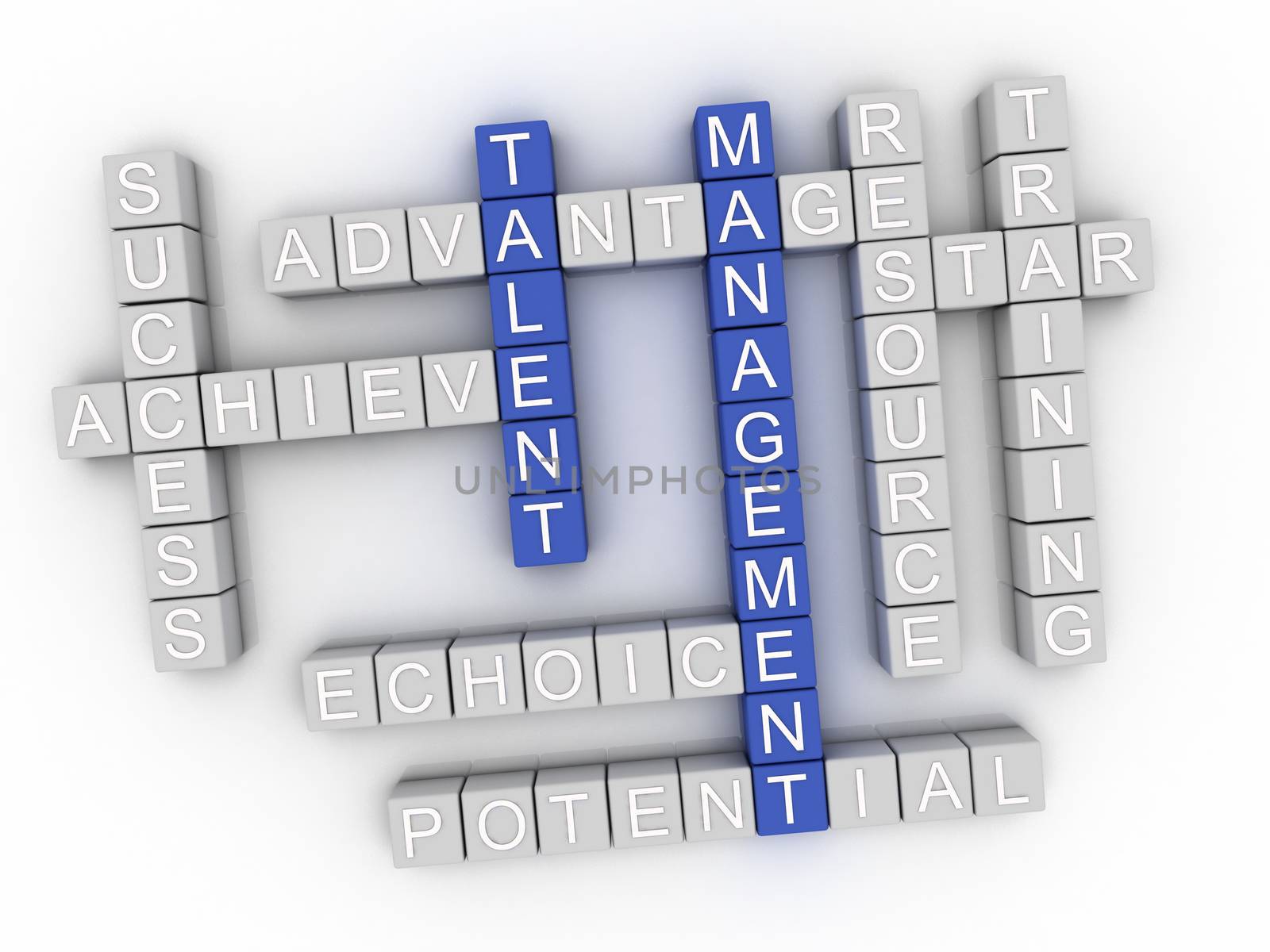 3d image Talent Management word cloud concept by dacasdo