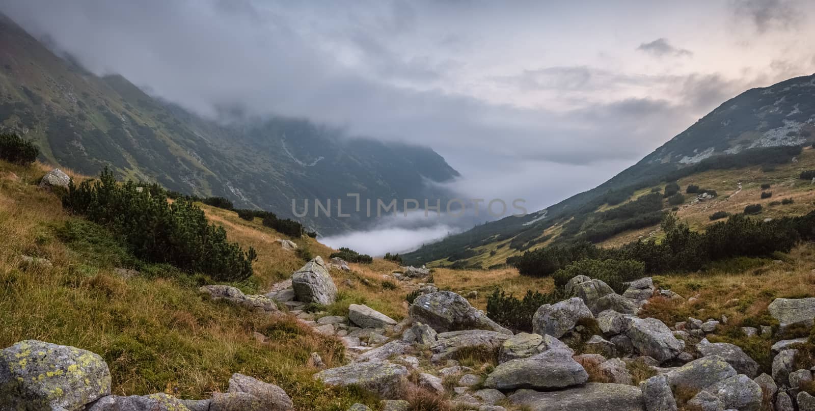 Mountains Landscape with Fog in Ziarska Valley and Rocks in Foreground