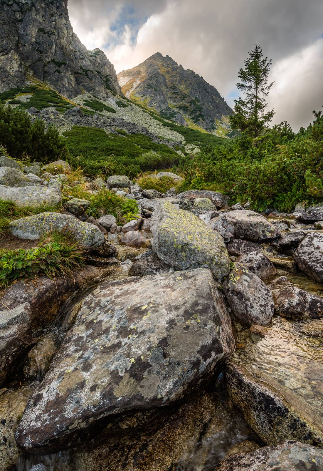 Mountain Landscape with a Creek and Rocks in Foreground on Cloudy Day. Mlynicka Valley, High Tatra, Slovakia.