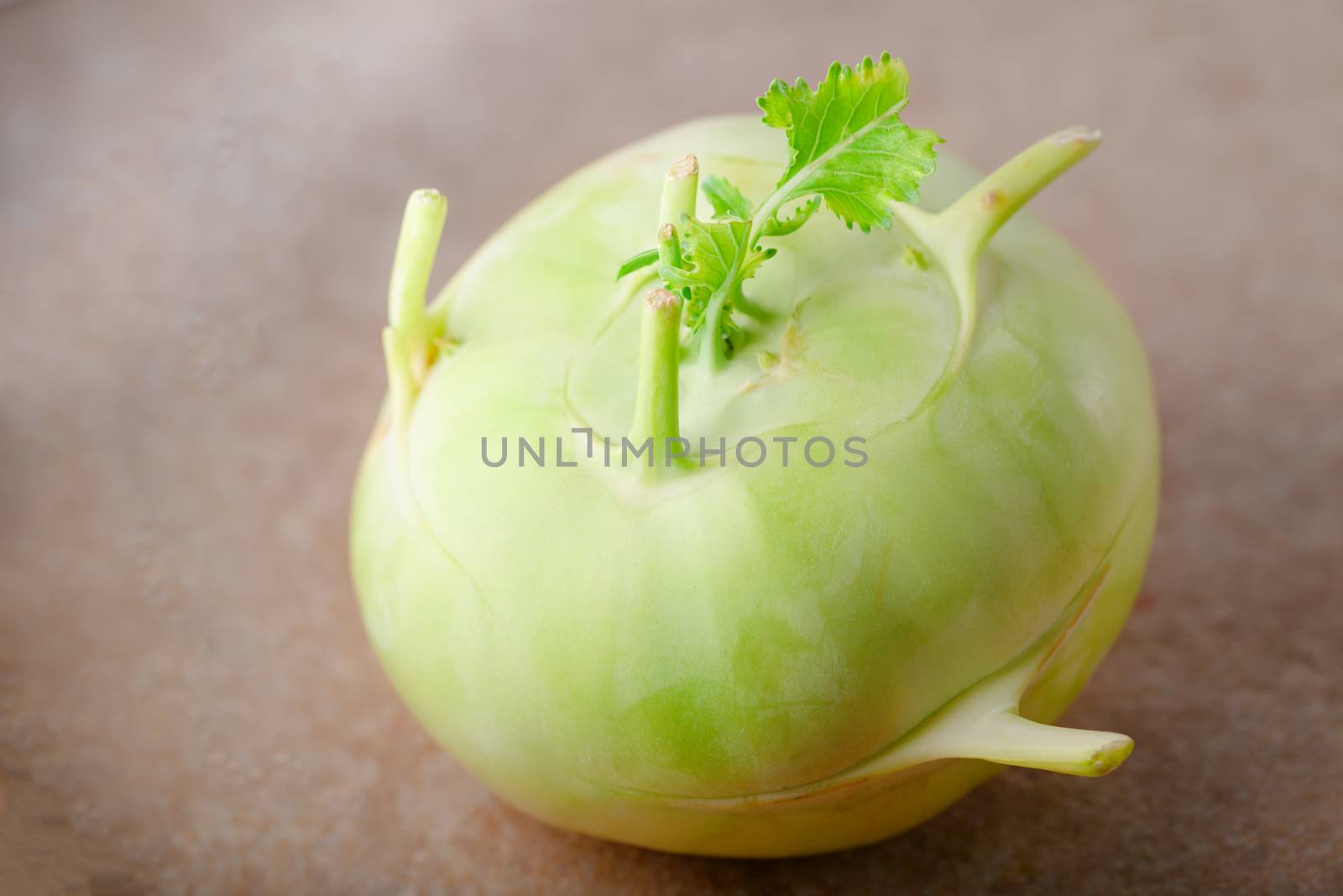 Fresh cabbage of kohlrabi placed on a table
