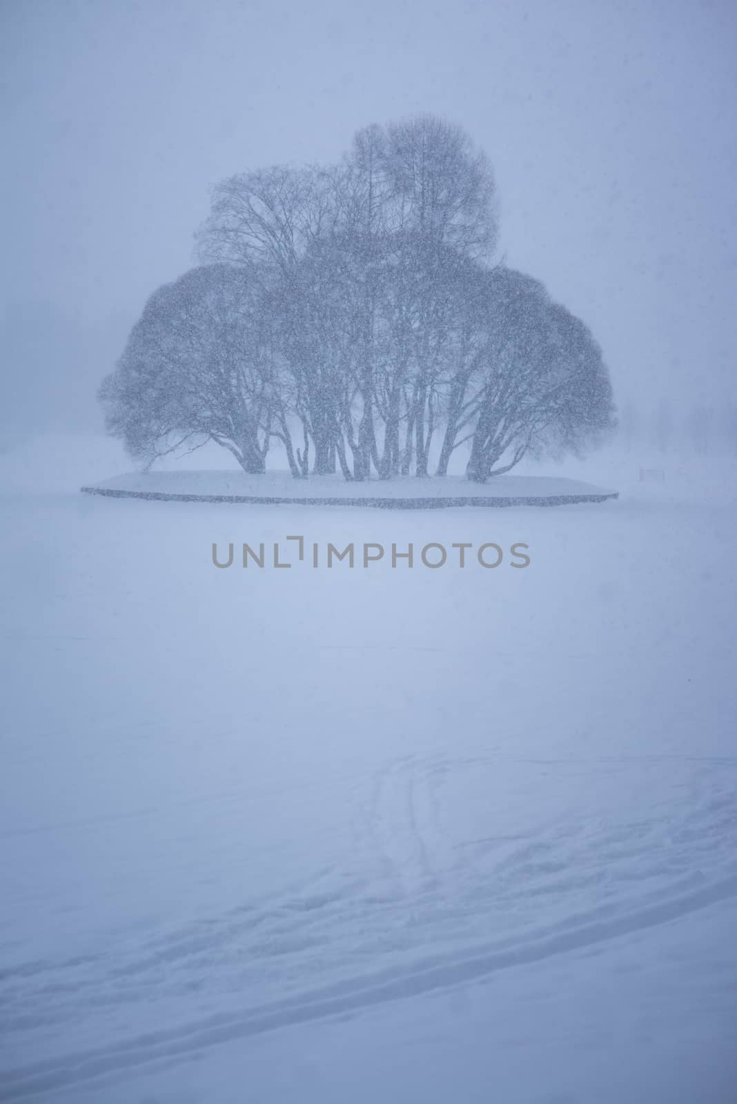 Winter park in the evening blizzard covered with snow and leading pathway via frozen lake to the isle with trees by skrotov