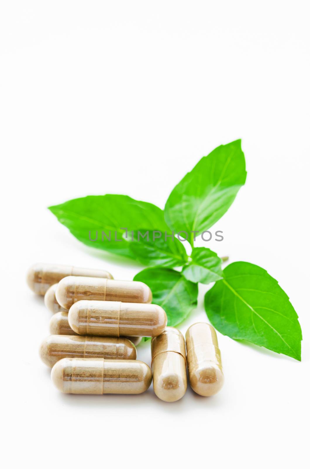 Herbal medicine in capsules with herb on white background, healthy lifestyle concept.