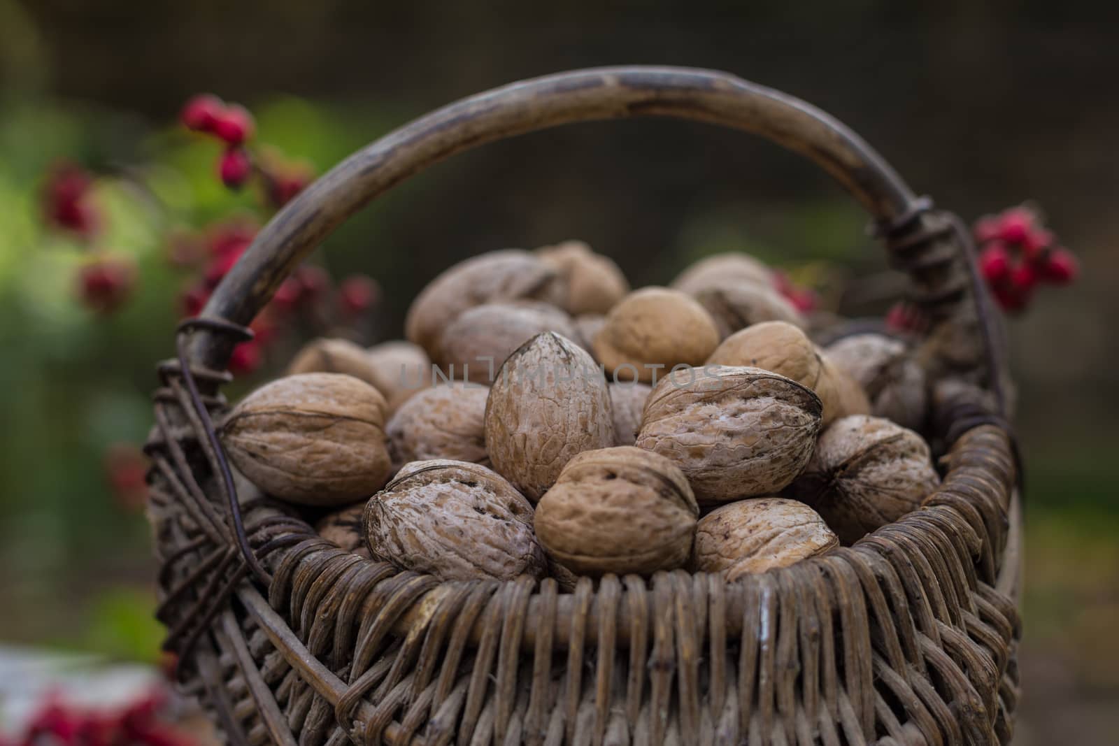 Wicker baskets containing walnuts