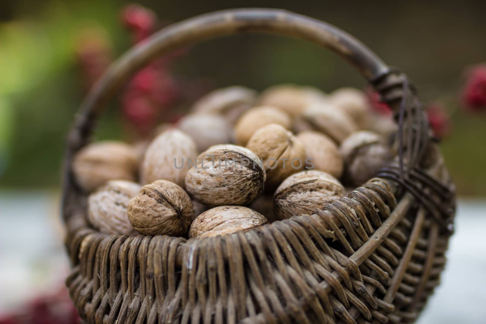 A basket of toasted hazelnuts inviting by maggee