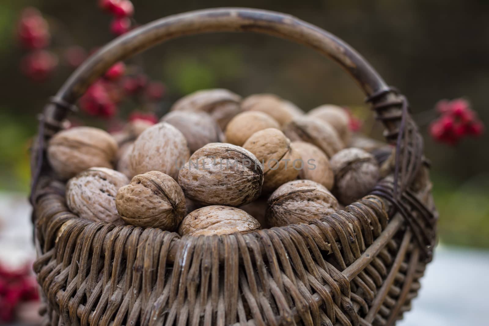 Wicker baskets containing walnuts