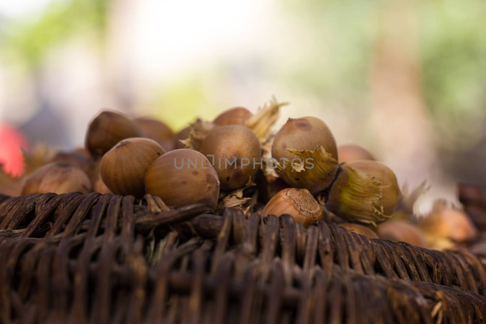 A basket of toasted hazelnuts inviting by maggee