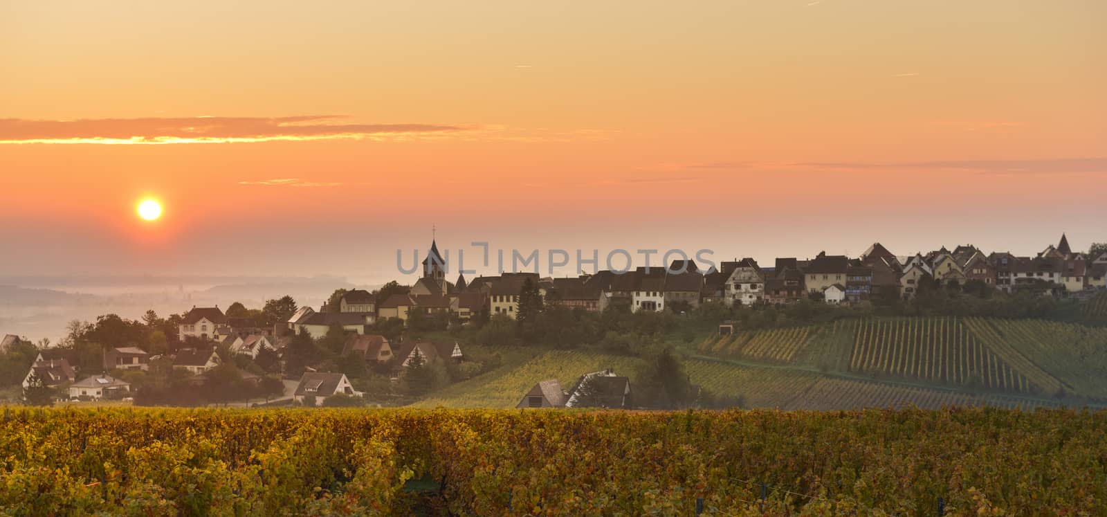 The Village of Zellenberg at sunset on the hill with the vineyards on the foreground, Alsace, France