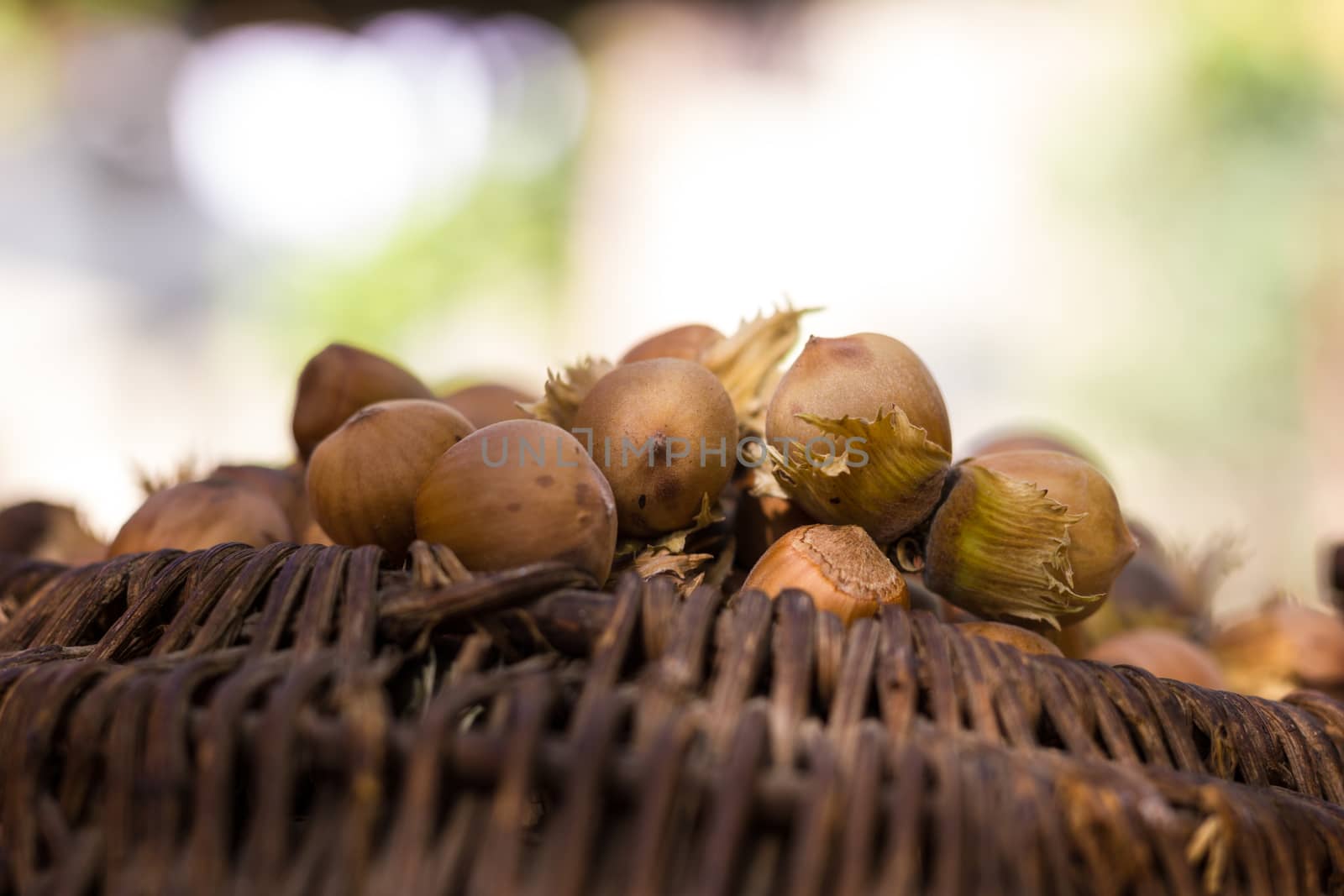 A basket of toasted hazelnuts inviting by maggee