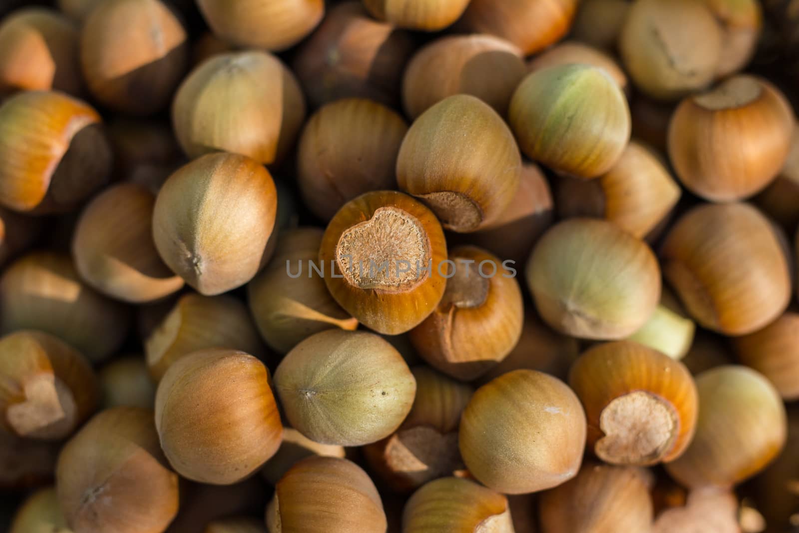 A basket of toasted hazelnuts inviting by maggee