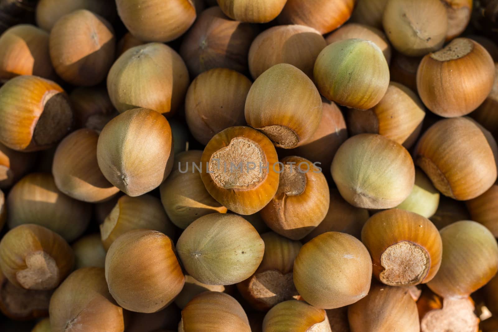 A basket of toasted hazelnuts inviting by maggee