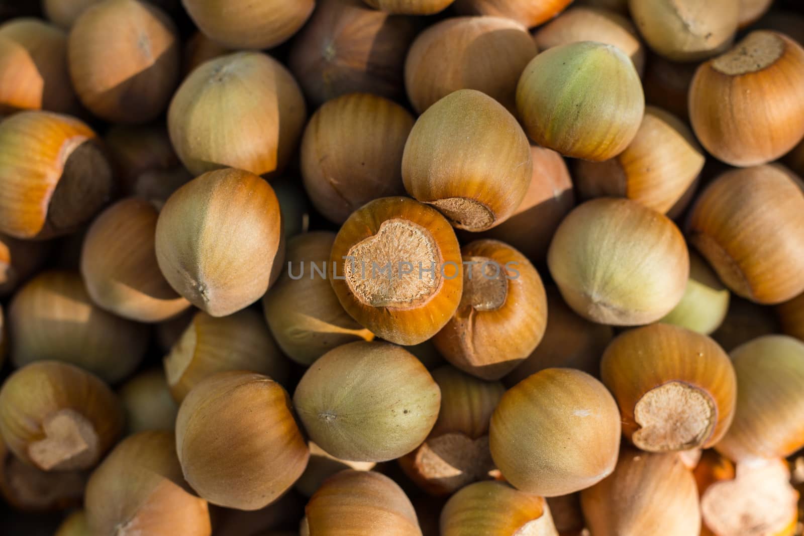 A basket of toasted hazelnuts inviting by maggee