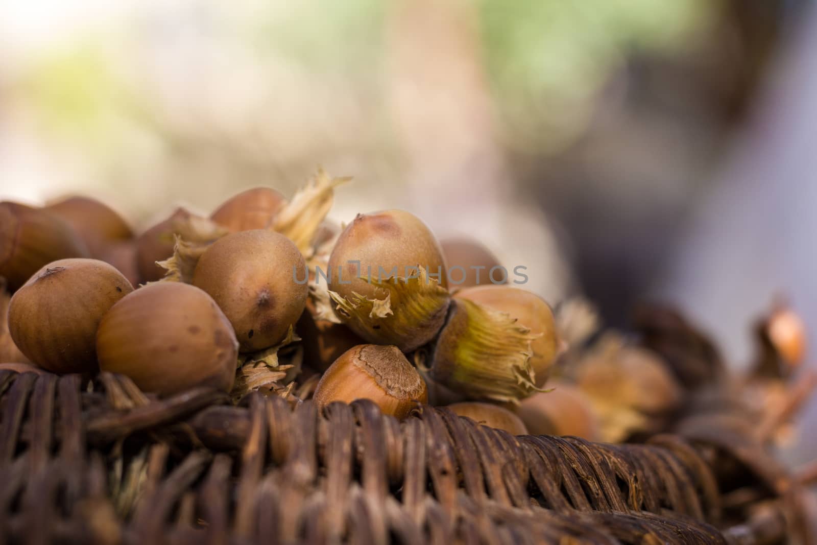 A basket of toasted hazelnuts inviting by maggee