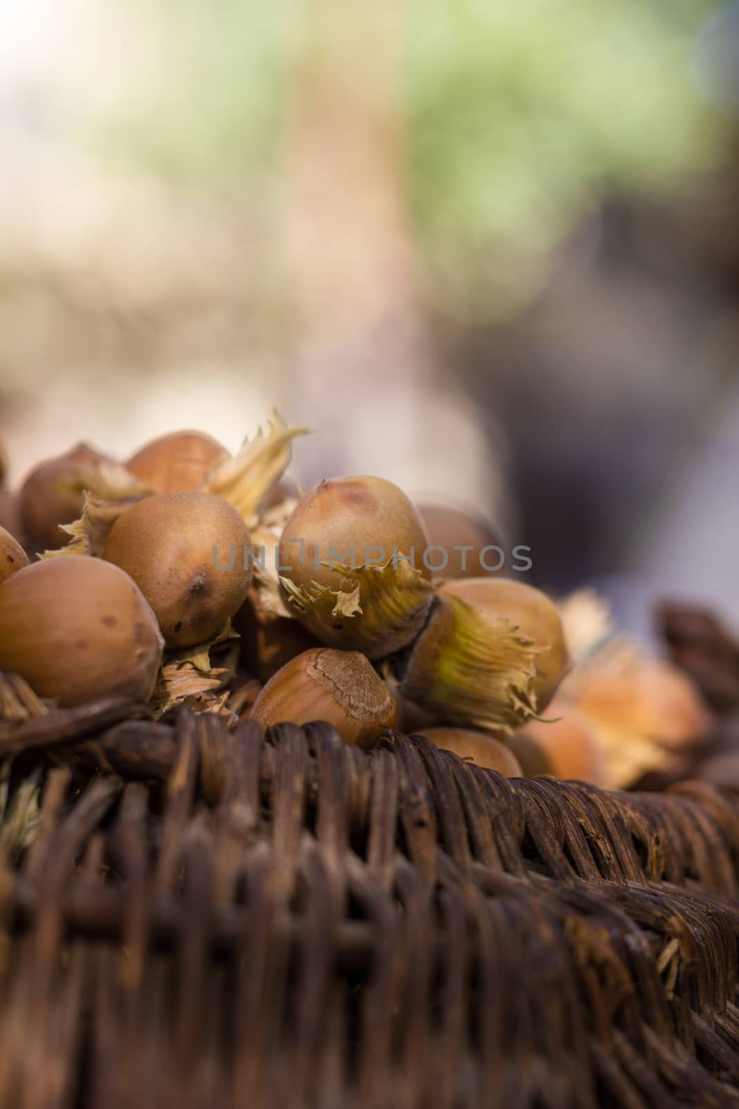 A basket of toasted hazelnuts inviting by maggee