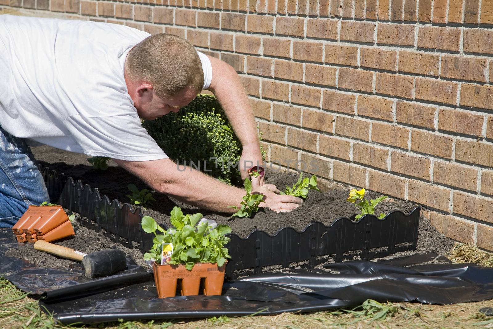 Man planting flowers in garden, dressing up landscape to help sell home