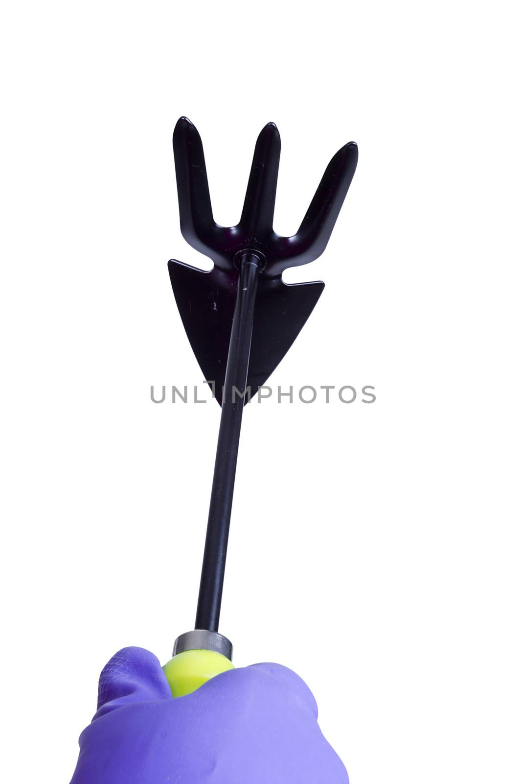 Hand in glove with garden tool on white background