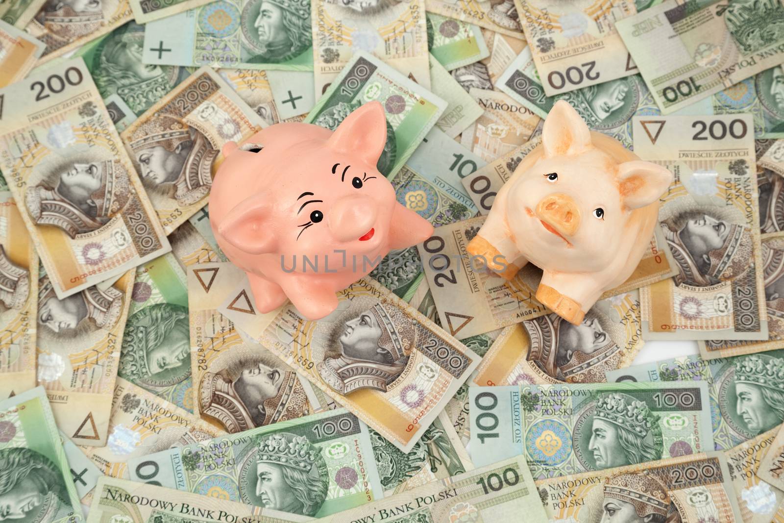 two piggy on polish money as background