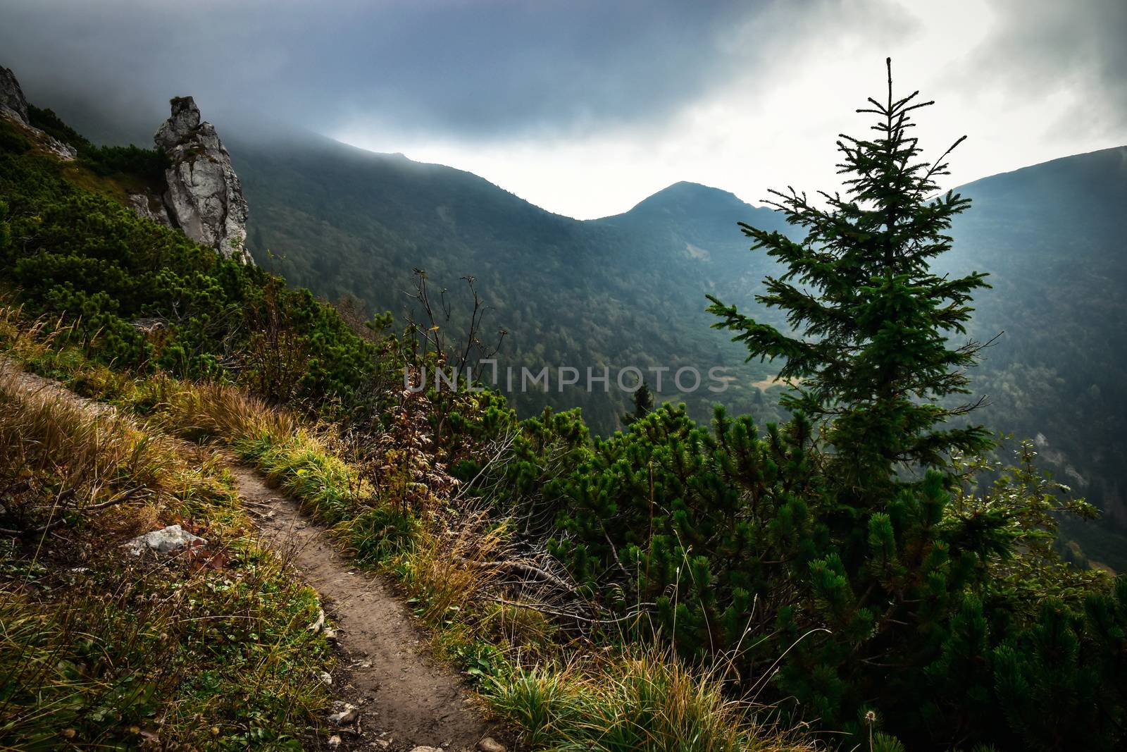 seasonal background Mountain trail in the dark mist
