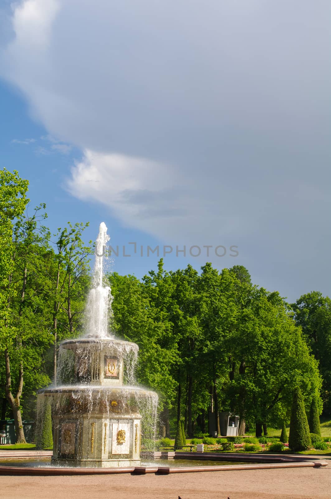 PETERHOF, SAINT PETERSBURG, RUSSIA - JUNE 06, 2014: Fountain in the Upper Park palace was included in the UNESCO World Heritage List by evolutionnow